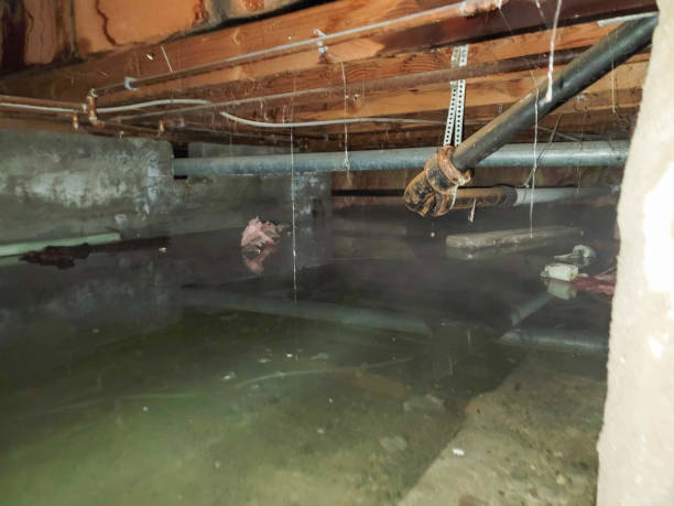 Carpet water damage restoration in NJ