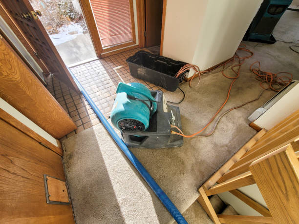 Best Water damage restoration insurance claims  in Bedminster, NJ