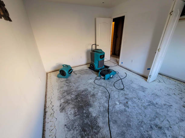 Best Flood restoration services  in Bedminster, NJ