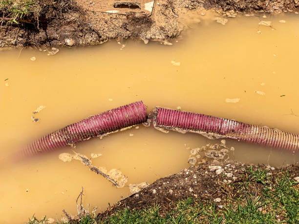  Bedminster, NJ Water damage restoration Pros